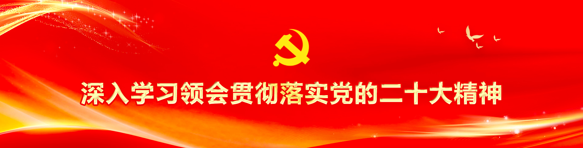 深入學(xué)習(xí)領(lǐng)會(huì)貫徹落實(shí)黨的二十大精神